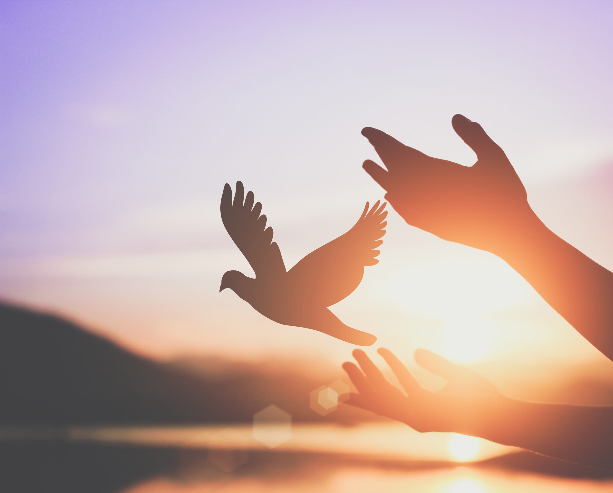 Sevgi mi, Sahip Olmak mı ?